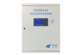 EI-D-0.2KVA-2應(yīng)急照明集中電源 （消防應(yīng)急燈具專用應(yīng)急電源）