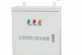 壁掛式DC36V應(yīng)急照明分配電箱（輸入電壓AC220V/DC216V）